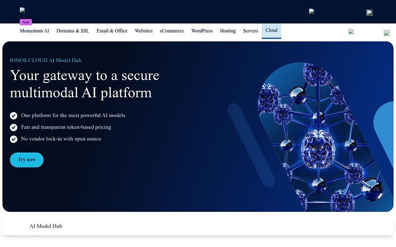 Screenshot of IONOS AI Model Hub webpage