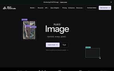 Screenshot of Black Forest Labs webpage